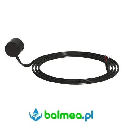 Detektor.webp