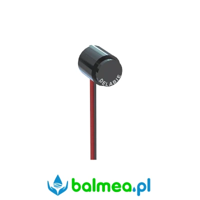 Detektor (2).webp