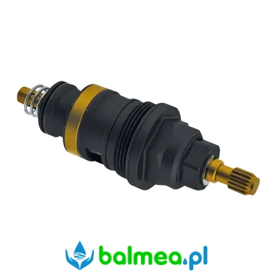 Głowica_termostatyczna_do_natrysku (1).webp