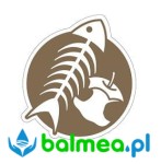 Piktogram - organiczne SPLAST ROZNE-0124 brązowy