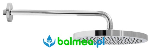 Głowica natryskowa z deszczownicą.jpg