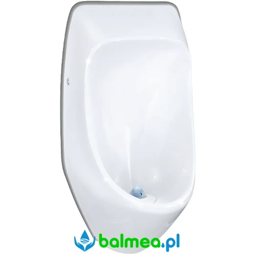 Pisuar bezwodny.webp