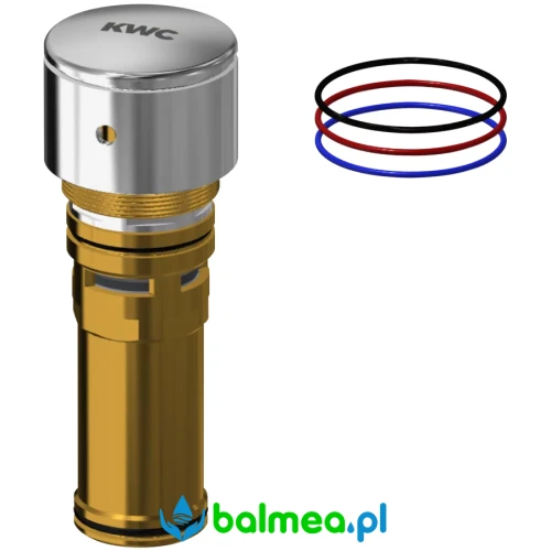 Element funkcyjny.webp