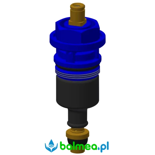 Element funkcyjny.webp