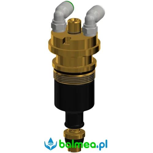 Element funkcyjny.webp