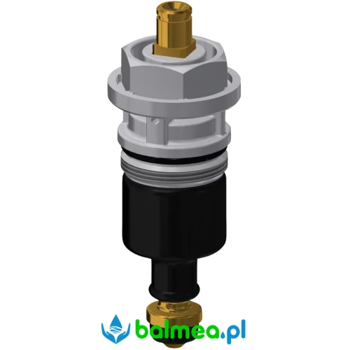 Element funkcyjny.webp